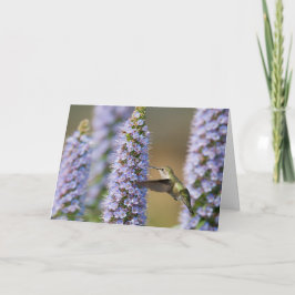 Hummingbird Birthday Card Karte