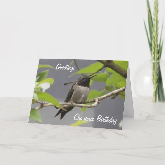 Hummingbird Birthday Greetings Card Karte (Vorderseite)