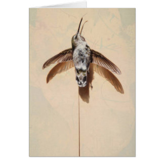 Hummingbird Blank Card von Andrew Denman