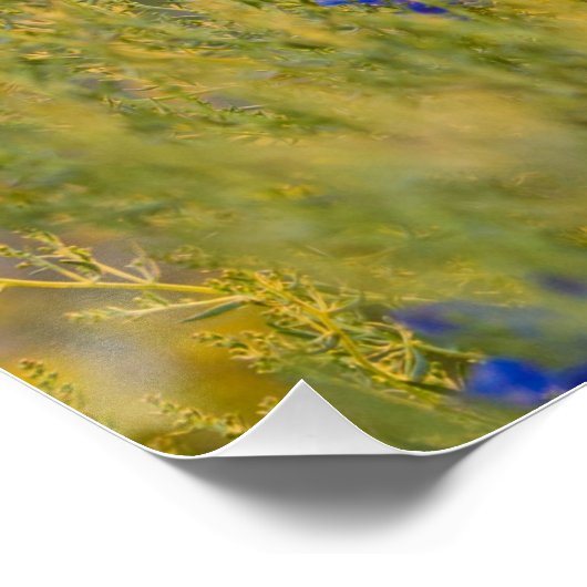 Hummingbird Blume Bible Verse Perfektes Poster (Ecke)