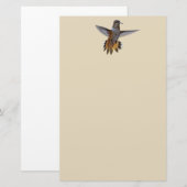 HUMMINGBIRD BRIEFPAPIER (Vorne/Hinten)