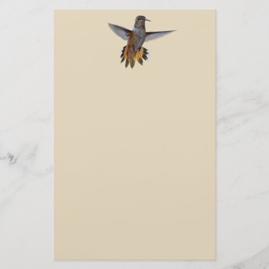 HUMMINGBIRD BRIEFPAPIER (Vorderseite)
