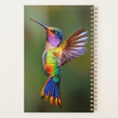 Hummingbird BRIGHT kleiner Planer (Rückseite)