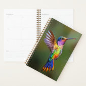 Hummingbird BRIGHT kleiner Planer (Anzeige)