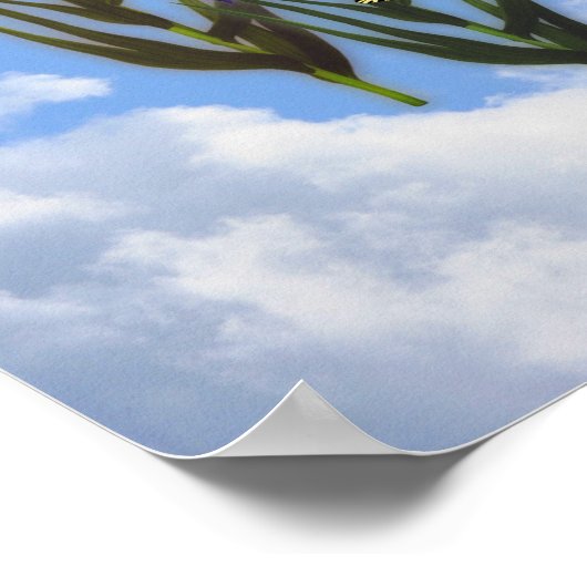 Hummingbird Butterflies Iris Blume Poster (Ecke)