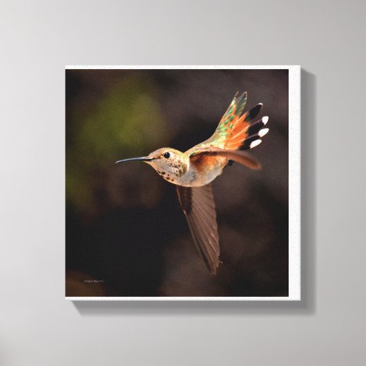 Hummingbird Canvas Print Leinwanddruck (Vorderseite)