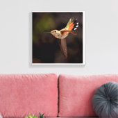Hummingbird Canvas Print Leinwanddruck (Insitu (Wohnzimmer))