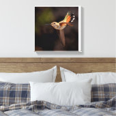Hummingbird Canvas Print Leinwanddruck (Insitu (Schlafzimmer))