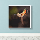 Hummingbird Canvas Print Leinwanddruck (Insitu (Holzboden))
