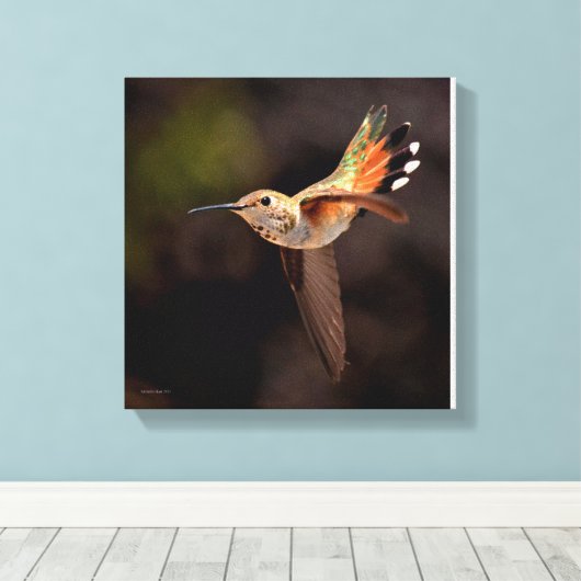 Hummingbird Canvas Print Leinwanddruck (Insitu (Holzboden))