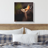 Hummingbird Canvas Print Leinwanddruck (Insitu (Schlafzimmer))