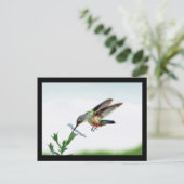 Hummingbird Card Gerahmt Postkarte (Stehend Vorderseite)