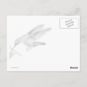 Hummingbird Card Gerahmt Postkarte (Rückseite)