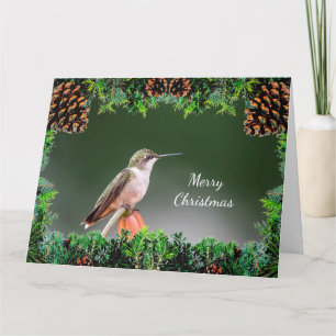 Hummingbird Christmas Card Karte