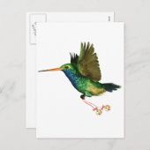 Hummingbird Christmas Feiertagspostkarte (Vorne/Hinten)