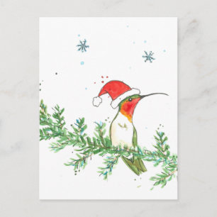 Hummingbird Christmas Feiertagspostkarte