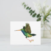 Hummingbird Christmas Feiertagspostkarte (Stehend Vorderseite)