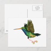 Hummingbird Christmas Feiertagspostkarte (Vorne/Hinten)