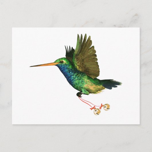Hummingbird Christmas Feiertagspostkarte (Vorderseite)