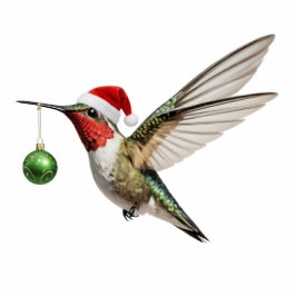 Hummingbird Christmas Ornament & green decoration Fotoskulptur Ornament