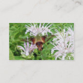 Hummingbird Clear Wing Moth Business Card Visitenkarte (Rückseite)