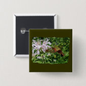 Hummingbird Clear Wing Moth Coordinated Items Button (Vorne & Hinten)