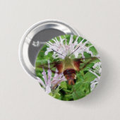 Hummingbird Clear Wing Moth Coordinated Items Button (Vorne & Hinten)