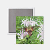 Hummingbird Clear Wing Moth Coordinated Items Magnet (Vorderseite/Rückseite)