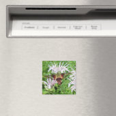 Hummingbird Clear Wing Moth Coordinated Items Magnet (In Situ (Geschirrspüler))