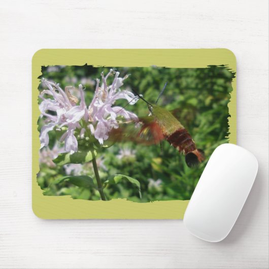 Hummingbird Clear Wing Moth Coordinated Items Mousepad (Mit Mouse)