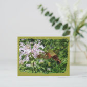 Hummingbird Clear Wing Moth Coordinated Items Postkarte (Stehend Vorderseite)