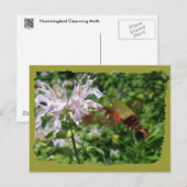 Hummingbird Clear Wing Moth Coordinated Items Postkarte (Vorne/Hinten)