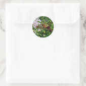 Hummingbird Clear Wing Moth Coordinated Items Runder Aufkleber (Tasche)