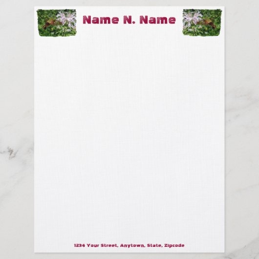 Hummingbird Clear Wing Moth Letterhead Briefkopf (Vorderseite)