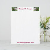 Hummingbird Clear Wing Moth Letterhead Briefkopf (Stehend Vorderseite)