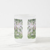 Hummingbird Clear Wing Moth on Monarda Mattglastasse (Mittel)