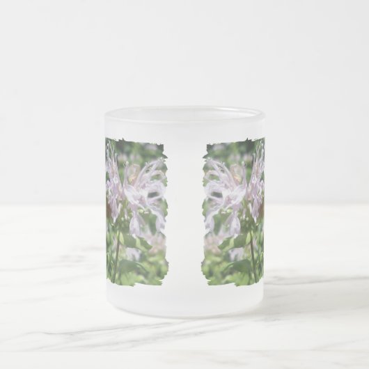 Hummingbird Clear Wing Moth on Monarda Mattglastasse (Mittel)