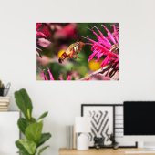 Hummingbird Clearwing & Bee Balm 2 Poster (Heimbüro)