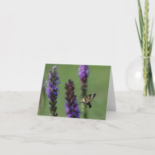 Hummingbird Clearwing Moth Blank Notecard Karte