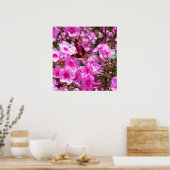 Hummingbird Clearwing & Phlox 3 Poster (Küche)