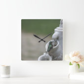 Hummingbird Clock Quadratische Wanduhr (Zuhause)