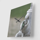 Hummingbird Clock Quadratische Wanduhr (Winkel)
