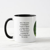 Hummingbird Coffee Cup Tasse (Links)
