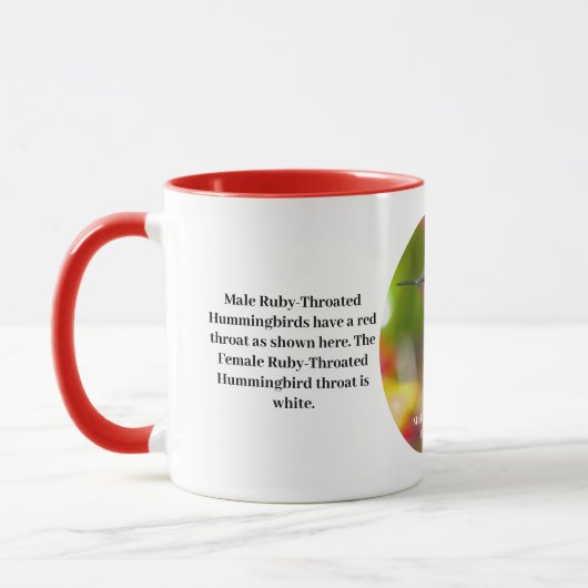 Hummingbird Coffee Cup Tasse (Links)