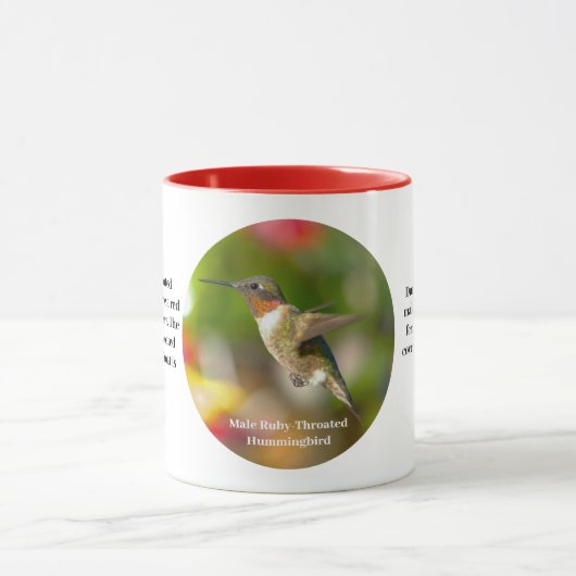 Hummingbird Coffee Cup Tasse (Zentrum)