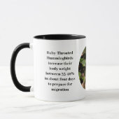 Hummingbird Coffee Cup Tasse (Links)