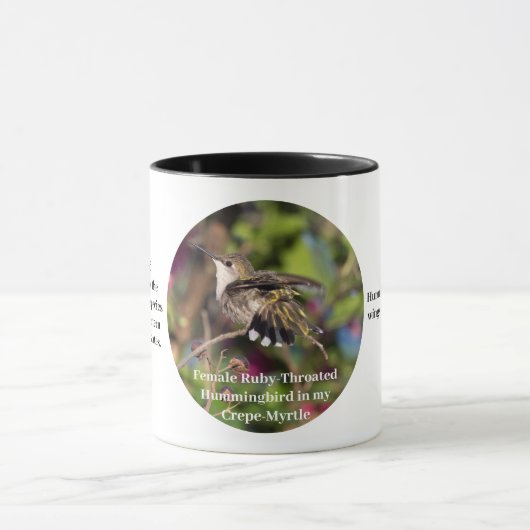 Hummingbird Coffee Cup Tasse (Zentrum)