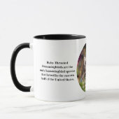 Hummingbird Coffee Cup Tasse (Links)
