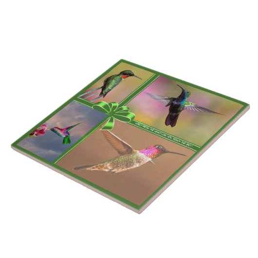 HUMMINGBIRD COLLAGE, QUOTE FLIESE (Seite)