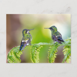 Hummingbird Couple auf einem Leaf Postkarte